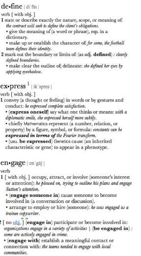 Dictionary Definition